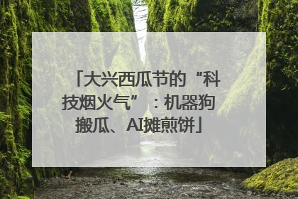 大兴西瓜节的“科技烟火气”：机器狗搬瓜、AI摊煎饼