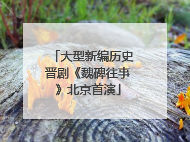 大型新编历史晋剧《魏碑往事》北京首演