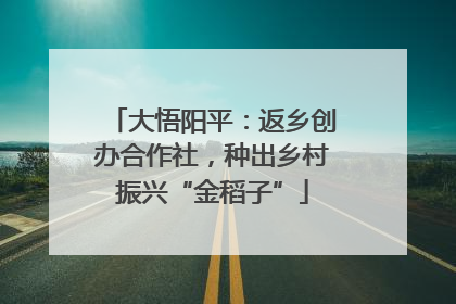 大悟阳平：返乡创办合作社，种出乡村振兴“金稻子”