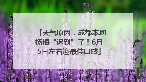 天气原因，成都本地杨梅“迟到”了！6月5日左右迎最佳口感