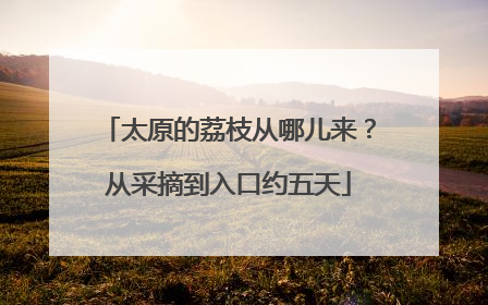 太原的荔枝从哪儿来？从采摘到入口约五天