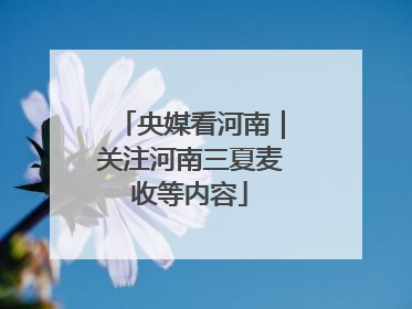央媒看河南｜关注河南三夏麦收等内容