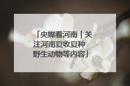 央媒看河南｜关注河南夏收夏种 野生动物等内容