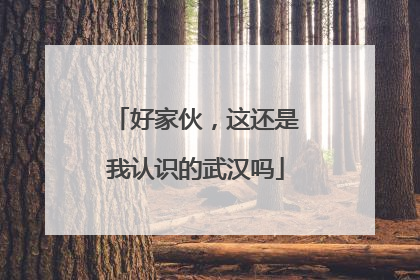 好家伙，这还是我认识的武汉吗