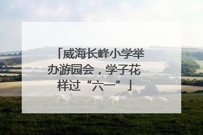 威海长峰小学举办游园会，学子花样过“六一”
