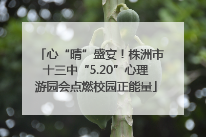 心“晴”盛宴！株洲市十三中“5.20”心理游园会点燃校园正能量