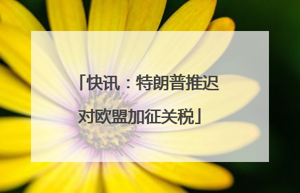 快讯：特朗普推迟对欧盟加征关税