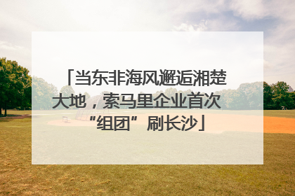 当东非海风邂逅湘楚大地，索马里企业首次“组团”刷长沙