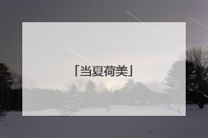 当夏荷美