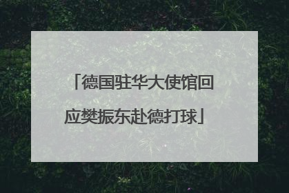 德国驻华大使馆回应樊振东赴德打球