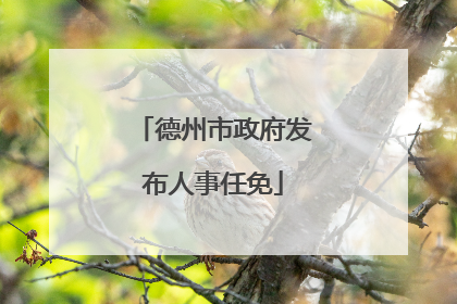 德州市政府发布人事任免