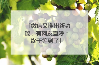 微信又推出新功能，有网友直呼：终于等到了