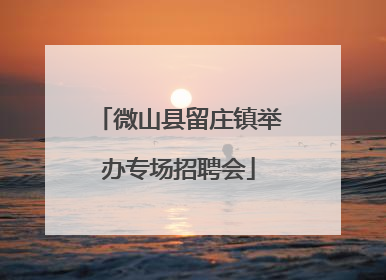 微山县留庄镇举办专场招聘会