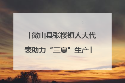 微山县张楼镇人大代表助力“三夏”生产