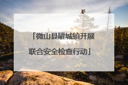 微山县驩城镇开展联合安全检查行动