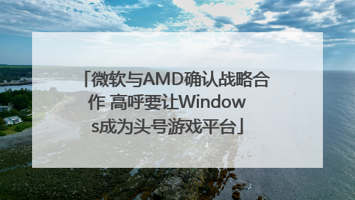 微软与AMD确认战略合作 高呼要让Windows成为头号游戏平台