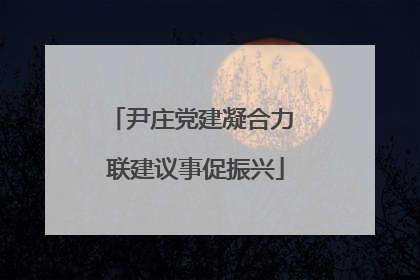 尹庄党建凝合力 联建议事促振兴