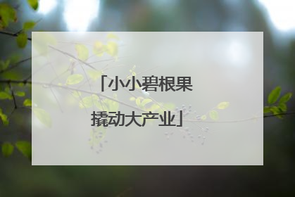 小小碧根果撬动大产业