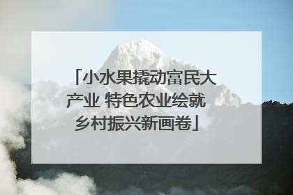 小水果撬动富民大产业 特色农业绘就乡村振兴新画卷