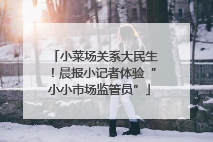 小菜场关系大民生！晨报小记者体验“小小市场监管员”