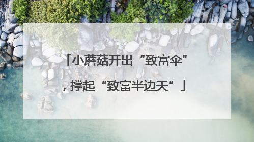 小蘑菇开出“致富伞”，撑起“致富半边天”