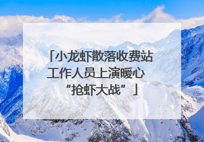 小龙虾散落收费站 工作人员上演暖心“抢虾大战”