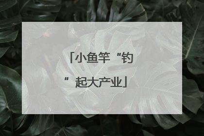 小鱼竿“钓”起大产业