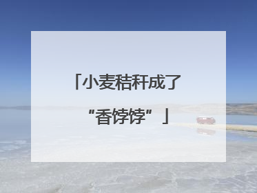 小麦秸秆成了“香饽饽”