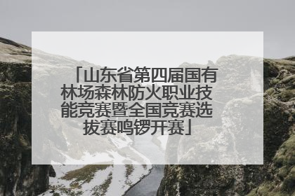 山东省第四届国有林场森林防火职业技能竞赛暨全国竞赛选拔赛鸣锣开赛