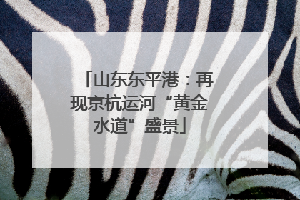 山东东平港：再现京杭运河“黄金水道”盛景