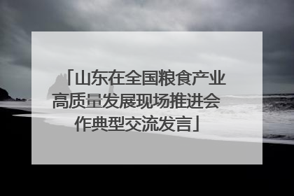 山东在全国粮食产业高质量发展现场推进会作典型交流发言