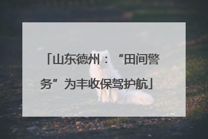 山东德州：“田间警务”为丰收保驾护航