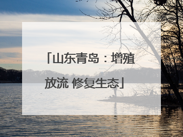山东青岛：增殖放流 修复生态