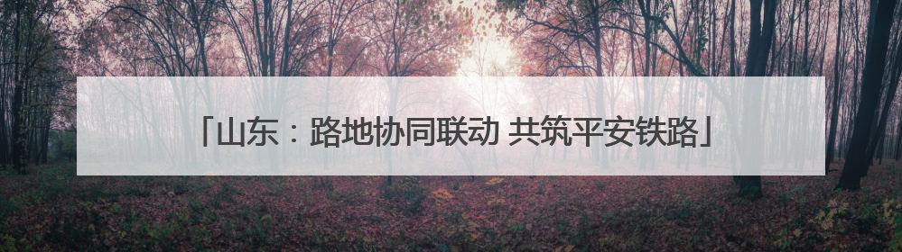 山东：路地协同联动 共筑平安铁路