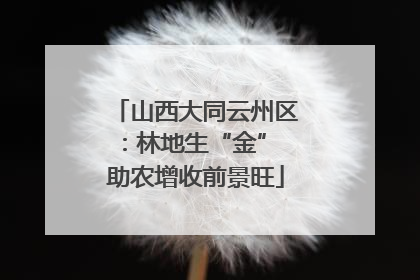 山西大同云州区：林地生“金” 助农增收前景旺