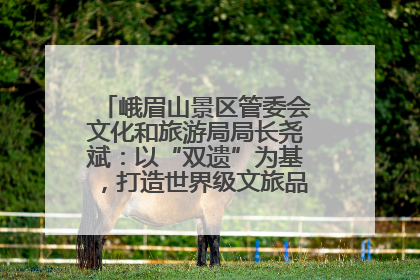 峨眉山景区管委会文化和旅游局局长尧斌：以“双遗”为基，打造世界级文旅品牌与国际典范
