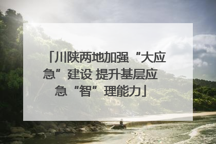 川陕两地加强“大应急”建设 提升基层应急“智”理能力