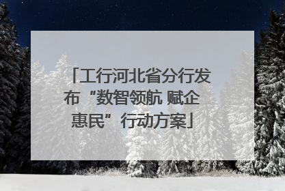 工行河北省分行发布“数智领航 赋企惠民”行动方案