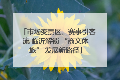 市场变景区、赛事引客流 临沂解锁 “商文体旅” 发展新路径