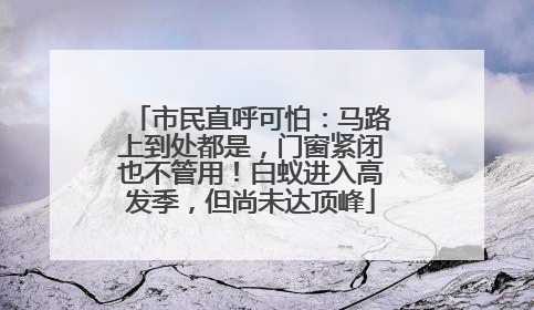 市民直呼可怕：马路上到处都是，门窗紧闭也不管用！白蚁进入高发季，但尚未达顶峰