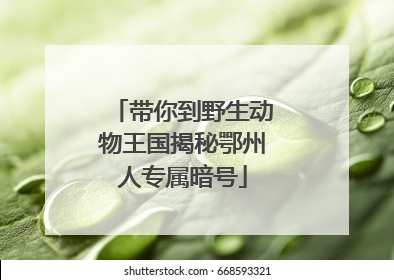 带你到野生动物王国揭秘鄂州人专属暗号