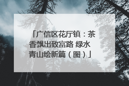 广信区花厅镇：茶香飘出致富路 绿水青山绘新篇（图）