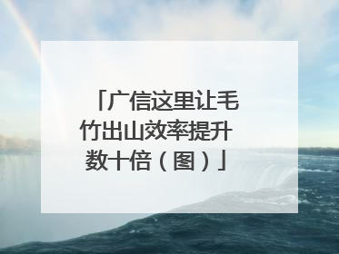 广信这里让毛竹出山效率提升数十倍（图）