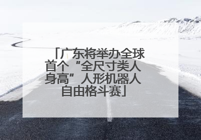 广东将举办全球首个“全尺寸类人身高”人形机器人自由格斗赛
