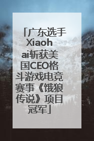 广东选手Xiaohai斩获美国CEO格斗游戏电竞赛事《饿狼传说》项目冠军