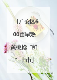 广安区600亩早熟黄桃抢“鲜”上市