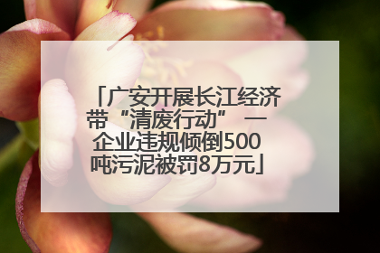 广安开展长江经济带“清废行动” 一企业违规倾倒500吨污泥被罚8万元