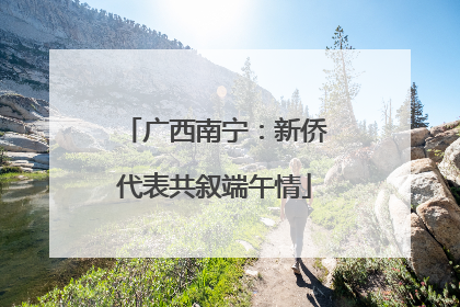 广西南宁：新侨代表共叙端午情