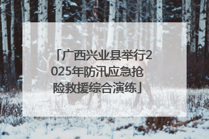 广西兴业县举行2025年防汛应急抢险救援综合演练