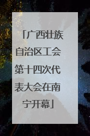 广西壮族自治区工会第十四次代表大会在南宁开幕